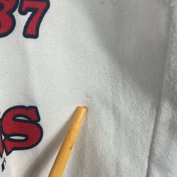 ⚾️ True Vintage 1987 MINNESOTA TWINS World Series Champions Crewneck Sweatshirt - Picture 10 of 12